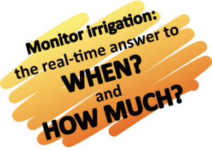 Irrigation: when and how much?