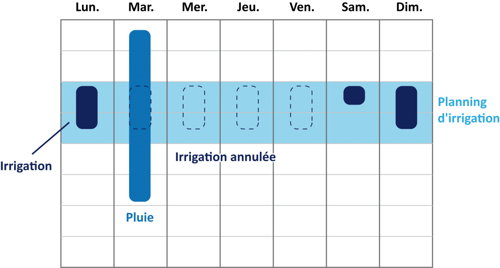 Exemple de planning d'irrigation