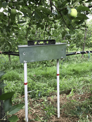 Compteur d'eau installe dans une culture