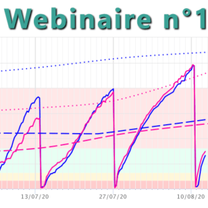 Webinar n°1 : how to observe soil functioning and to optimize irrigation