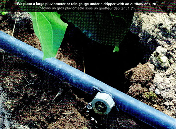 irrigation goutte à goutte avec un pluviometre et un goutteur
