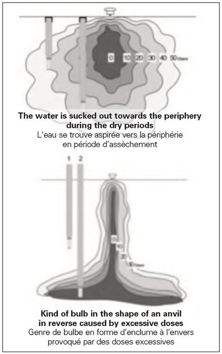 Le bulbe, l'irrigant et le conseiller en irrigation